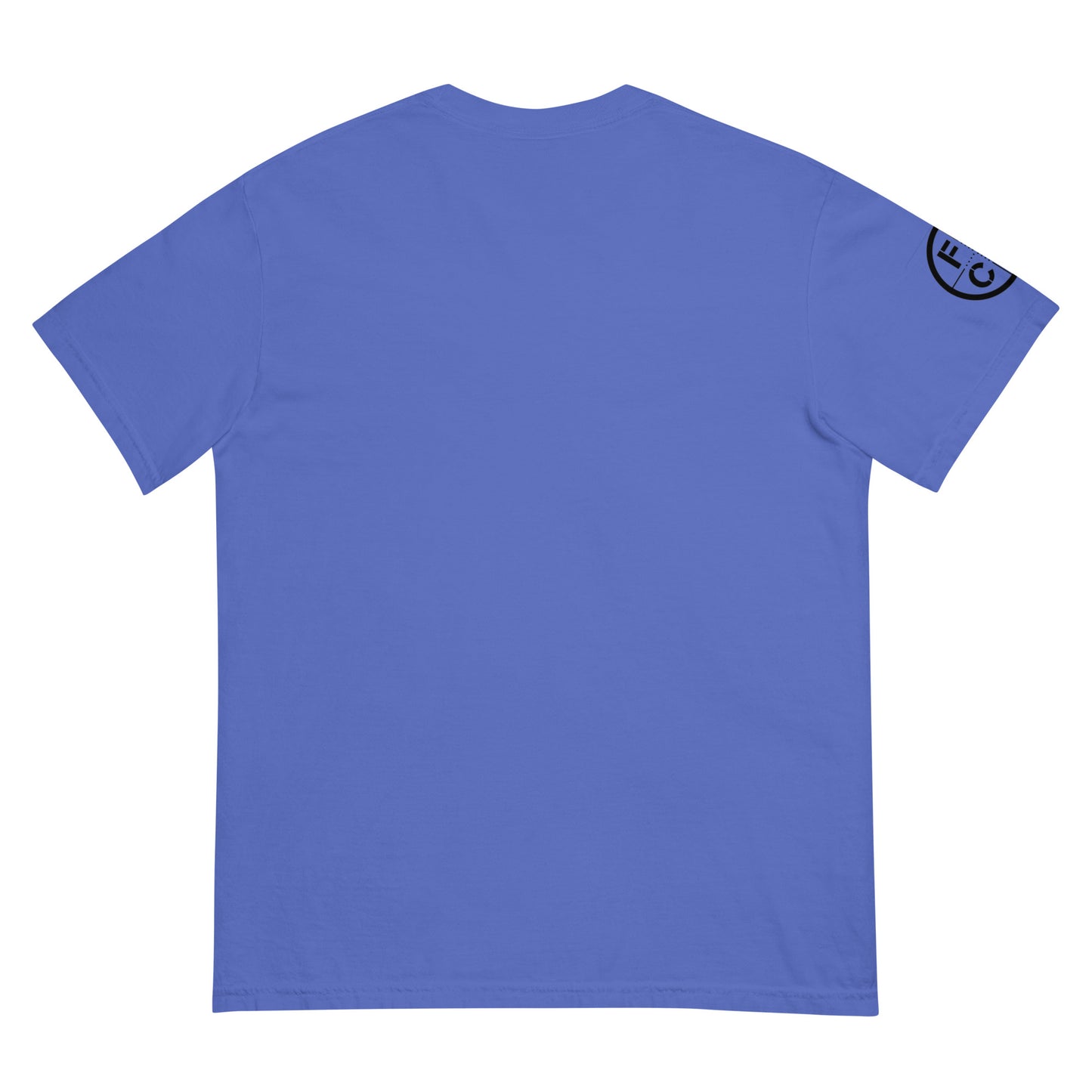 4th of July Forefathers heavyweight t-shirt