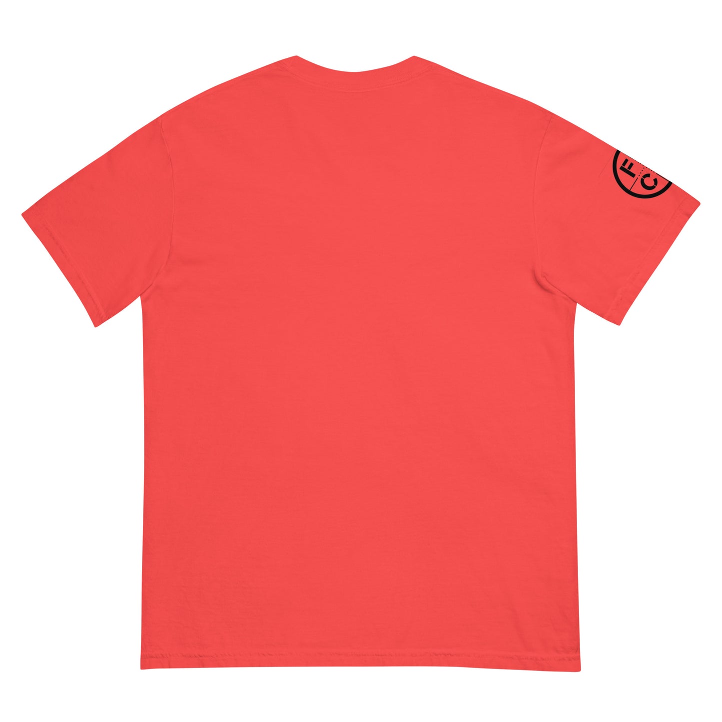 4th of July Forefathers heavyweight t-shirt